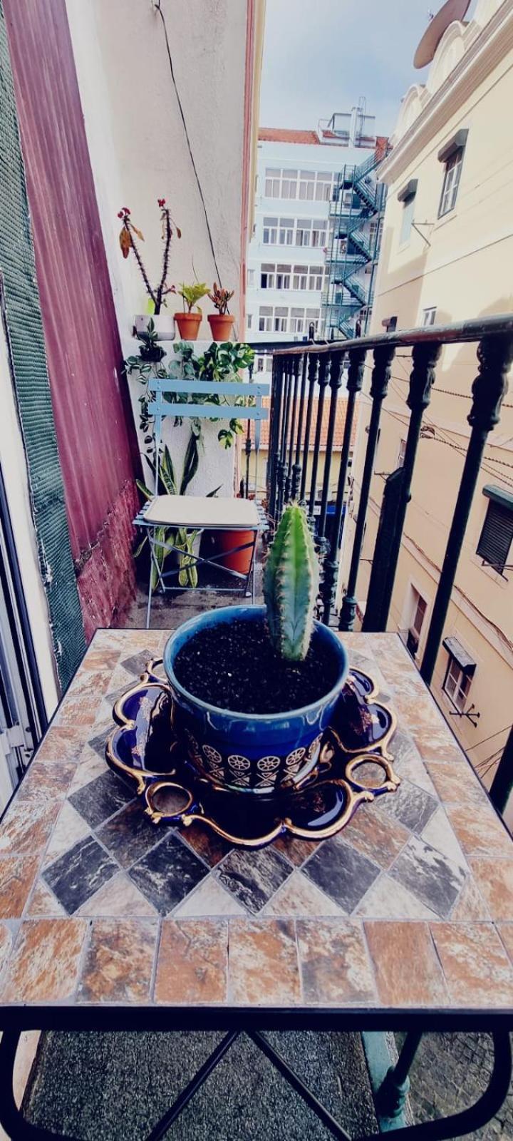 Charming Central Apartment To Rent Lisboa Εξωτερικό φωτογραφία